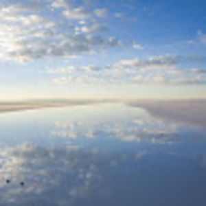 Meet your Posher, Cecelia